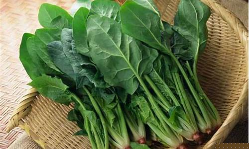 线上菠菜入口详细介绍