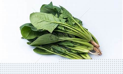 菠菜网投权威担保论坛：菠菜LOL游戏网站详细介绍