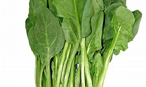 1. 了解LOL游戏与线上国际菠菜的奥妙