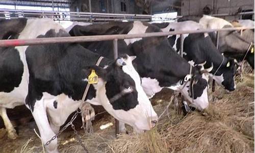 1. 了解LOL菠菜的基本概念与玩法