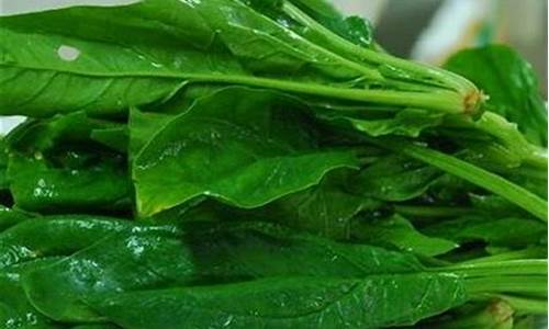 英雄联盟菠菜：1. 什么是LOL游戏？