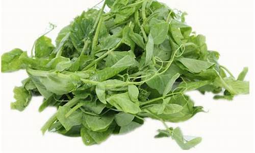 网络菠菜论坛大全：菠菜公司LOL游戏介绍