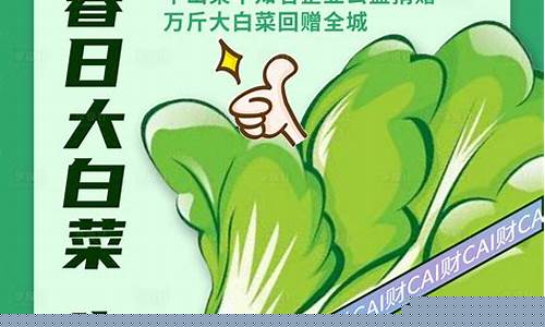 菠菜LOL游戏详细介绍