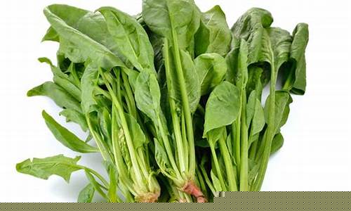 菠菜网址LOL游戏详解